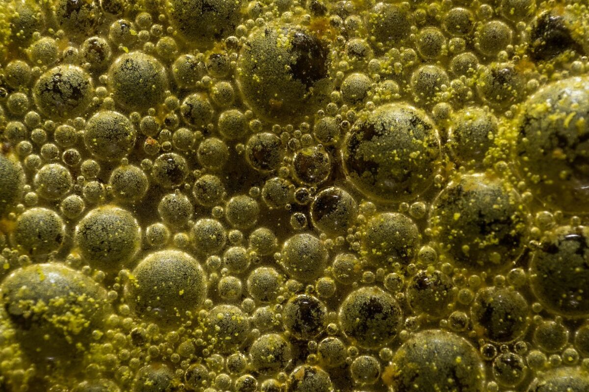 Limpieza y desinfección en la industria alimentaria